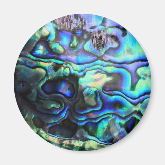 Abalone paua shell magneet (Voorkant)