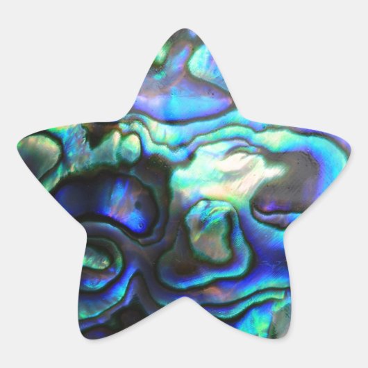 Abalone paua shell ster sticker (Voorkant)