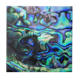 Abalone paua shell tegeltje