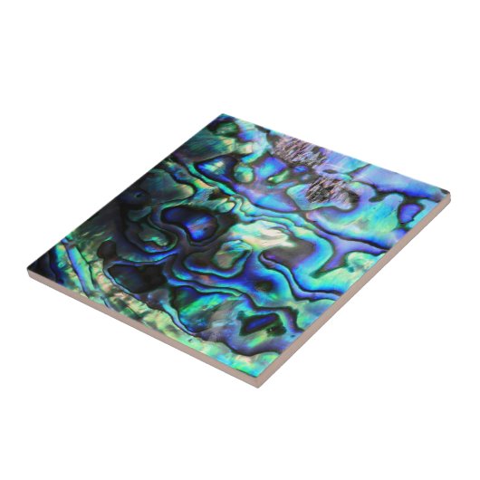 Abalone paua shell tegeltje (Zijkant)