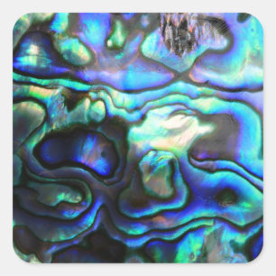 Abalone paua shell vierkante sticker