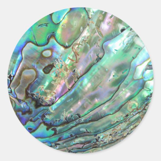 Abalone Ronde Sticker (Voorkant)