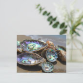 Abalone schelpen op het strand briefkaart (Staand voorkant)