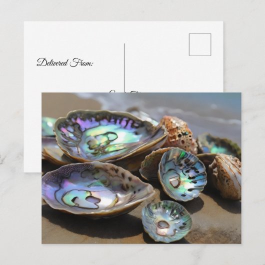 Abalone schelpen op het strand briefkaart (Voorkant / Achterkant)