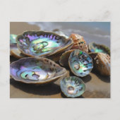 Abalone schelpen op het strand briefkaart (Voorkant)