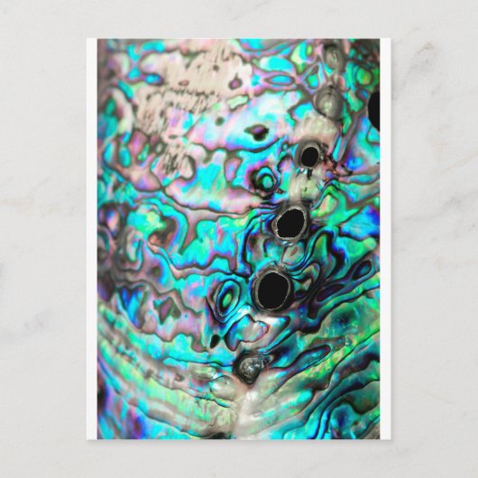 Abalone seashell natuur detail briefkaart (Voorkant)