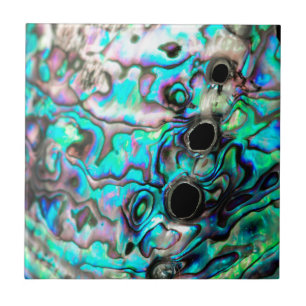 Abalone seashell natuur detail tegeltje