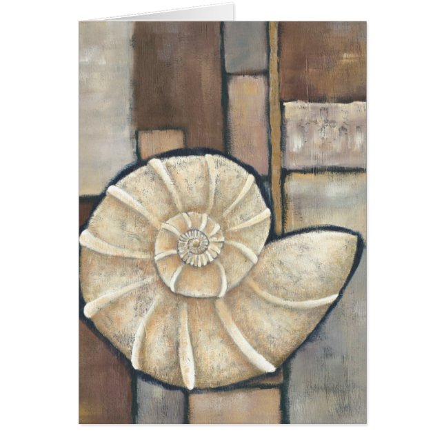 Abalone Shell (Voorkant)