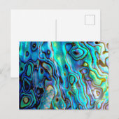 Abalone shell briefkaart (Voorkant / Achterkant)