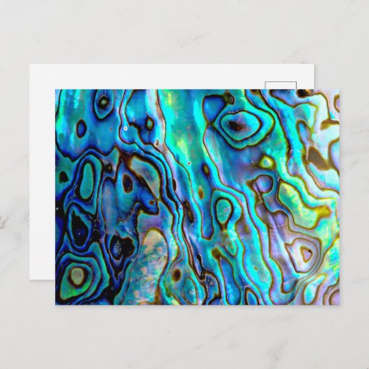 Abalone shell briefkaart (Voorkant / Achterkant)