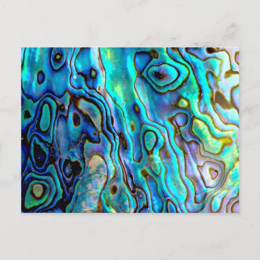 Abalone shell briefkaart (Voorkant)