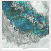 Abalone Shell Pearl en Silver 2 Sticker (Vel)