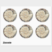 Abalone Shell Ronde Sticker (Vel)