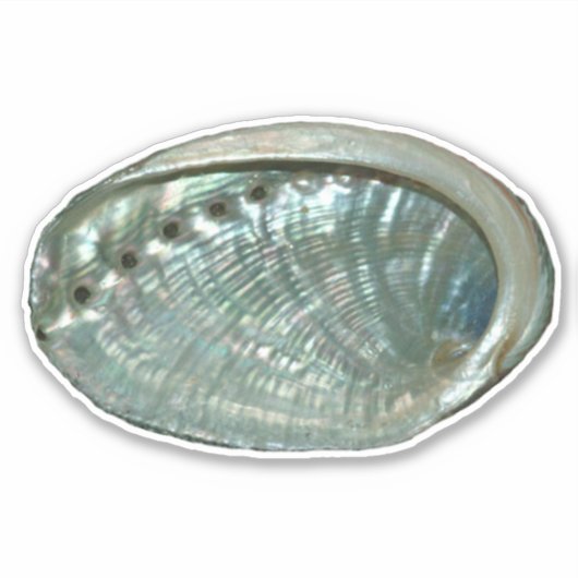 Abalone Shell Sticker (Voorkant)