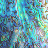 Abalone shell sticker (Voorkant)