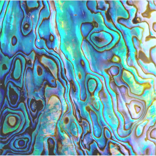 Abalone shell sticker (Voorkant)