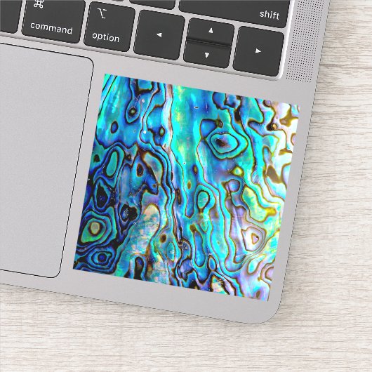 Abalone shell sticker (Detail)