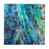 Abalone shell  tegeltje (Voorkant)