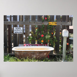 Abandoned Bathtub Poster