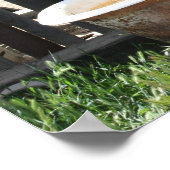 Abandoned Bathtub Poster (Hoek)