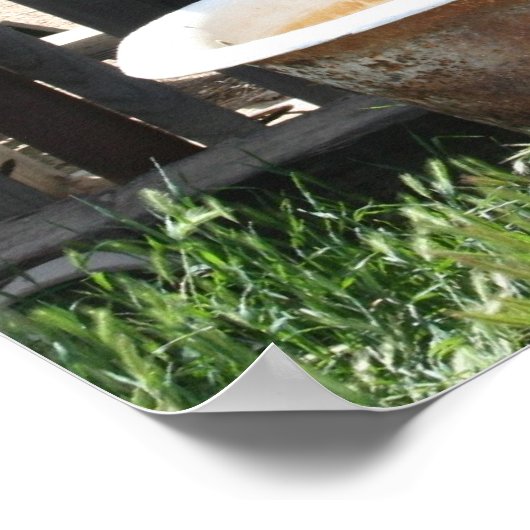 Abandoned Bathtub Poster (Hoek)