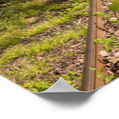 Abandoned Railroad In A Forest Poster (Hoek)