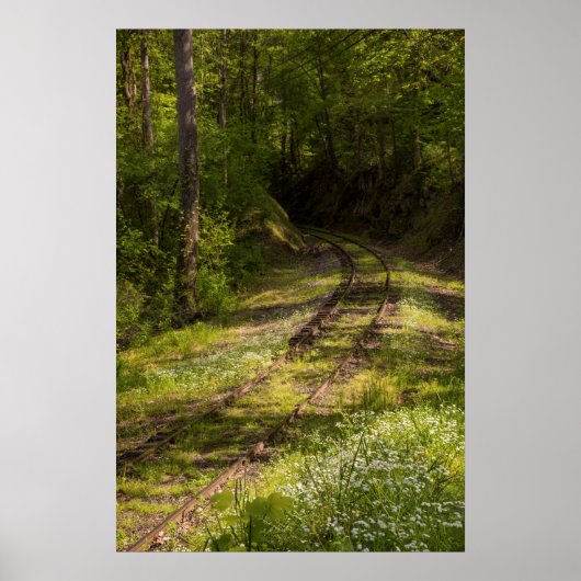 Abandoned Railroad In A Forest Poster (Voorkant)
