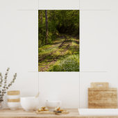 Abandoned Railroad In A Forest Poster (Keuken)