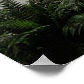 Abandoned Theater Nature Reclaimed Poster (Hoek)