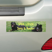 Abbey en Roxy zeggen: BESPAAR LEVEN! Spay & Neuter Bumpersticker (Op auto)