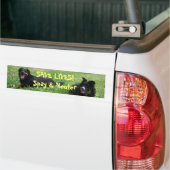 Abbey en Roxy zeggen: BESPAAR LEVEN! Spay & Neuter Bumpersticker (Op Truck)