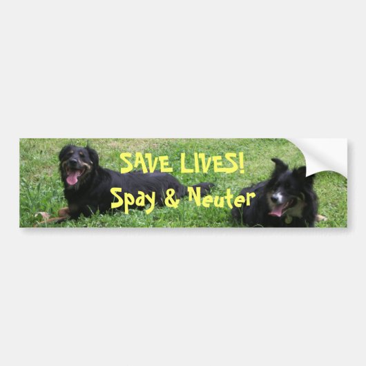 Abbey en Roxy zeggen: BESPAAR LEVEN! Spay & Neuter Bumpersticker (Voorkant)