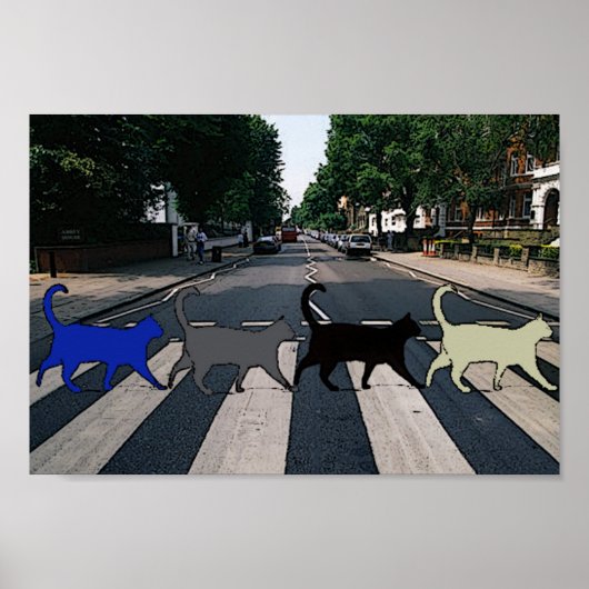 Abbey Road Cats Poster (Voorkant)