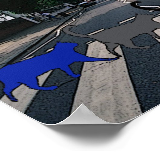 Abbey Road Cats Poster (Hoek)