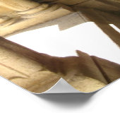 Abbey van Fontaine Poster (Hoek)