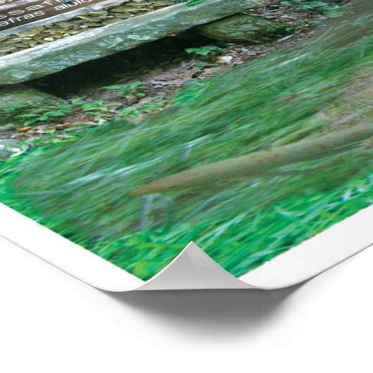 Abbos Alley Collage Sewanee, TN OlioStudios.com Poster (Hoek)