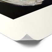 Abbott Handerson Thayer Angel Wings Stevenson Poster (Hoek)