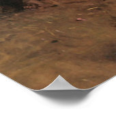 Abbott Handerson Thayer The Virgin Poster (Hoek)