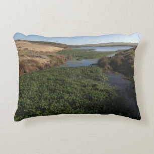 Abbotts Lagoon I in Point Reyes National Seashore Accent Kussen