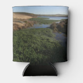 Abbotts Lagoon I in Point Reyes National Seashore Blikjeskoeler (Voorkant)