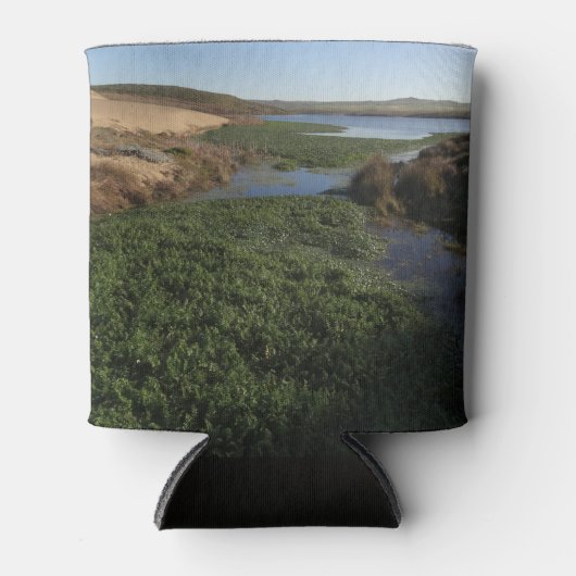 Abbotts Lagoon I in Point Reyes National Seashore Blikjeskoeler (Voorkant)