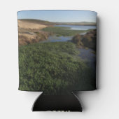 Abbotts Lagoon I in Point Reyes National Seashore Blikjeskoeler (Achterkant)