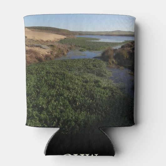 Abbotts Lagoon I in Point Reyes National Seashore Blikjeskoeler (Achterkant)