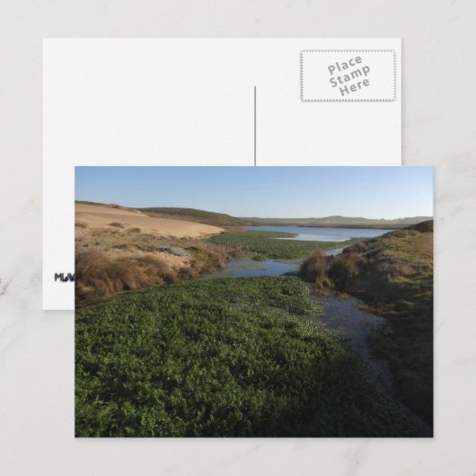 Abbotts Lagoon I in Point Reyes National Seashore Briefkaart (Voorkant / Achterkant)
