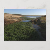 Abbotts Lagoon I in Point Reyes National Seashore Briefkaart (Voorkant)