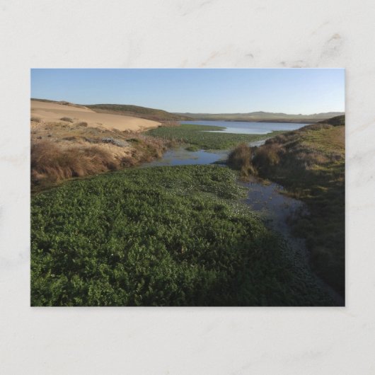 Abbotts Lagoon I in Point Reyes National Seashore Briefkaart (Voorkant)