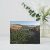 Abbotts Lagoon I in Point Reyes National Seashore Briefkaart (Staand voorkant)