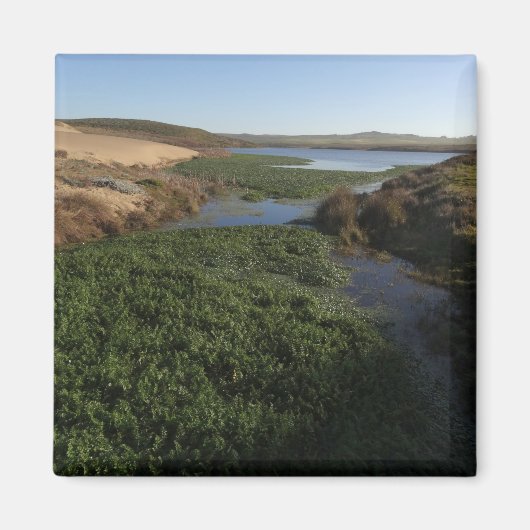Abbotts Lagoon I in Point Reyes National Seashore Magneet (Voorkant)