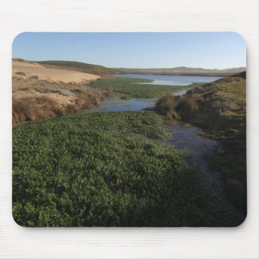 Abbotts Lagoon I in Point Reyes National Seashore Muismat (Voorkant)