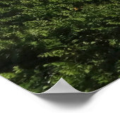 Abbotts Lagoon I in Point Reyes National Seashore Poster (Hoek)